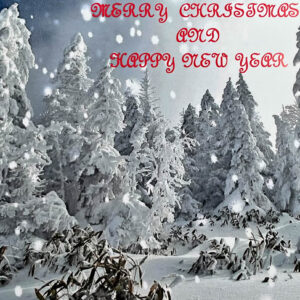 Merry Christmas postcard. Snowy trees.