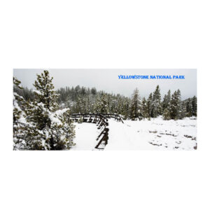 Yellowstone National Park Postcards. Set of 5.